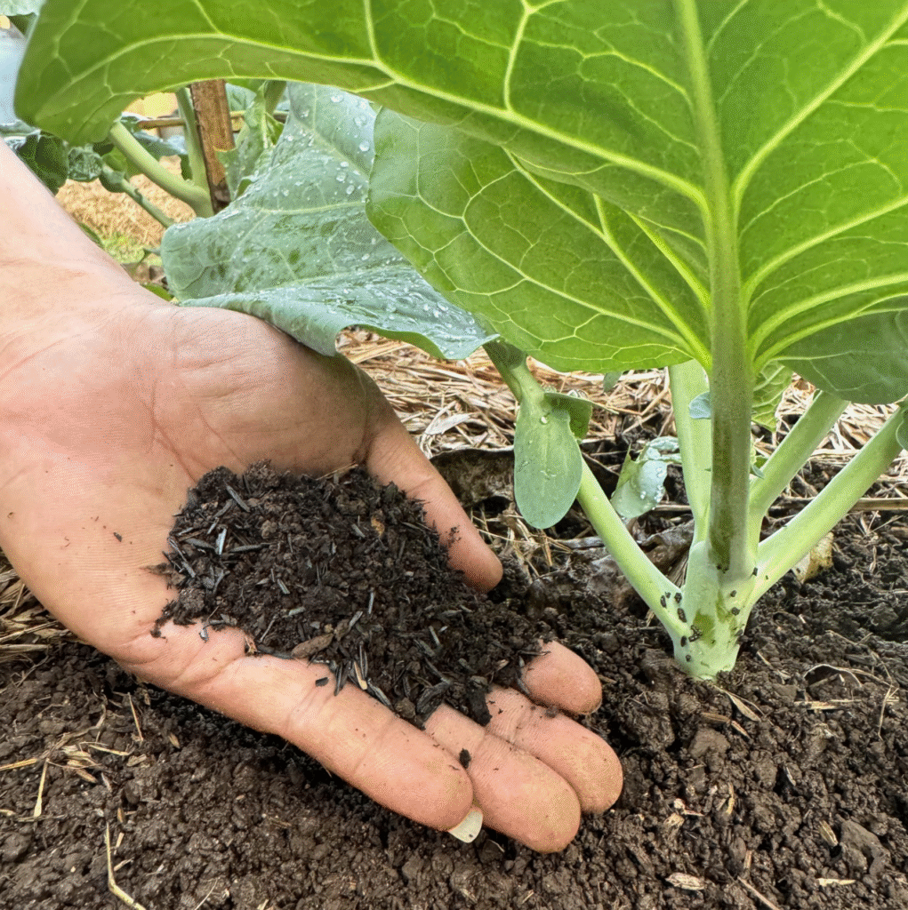 screenshot 2025 11 06 at 18.10.16