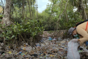 screenshot 2025 09 24 at 11.27.22